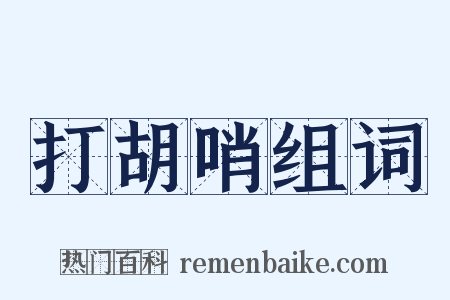 打胡哨组词是什么意思的图片